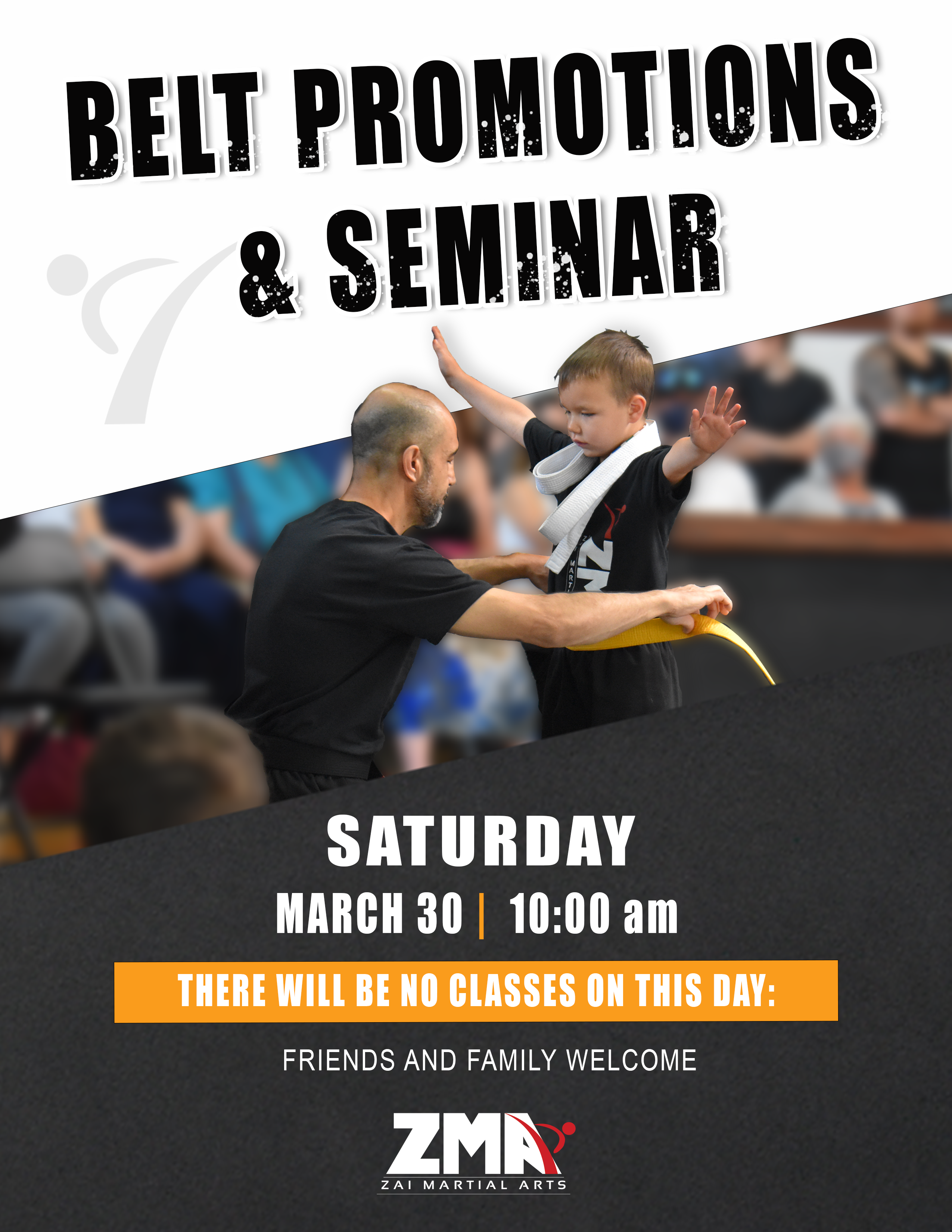 Zai Martial Arts Belt Promotion